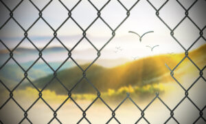 Image of fence with links flying free like birds.