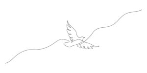black and white line drawing of a dove flying free