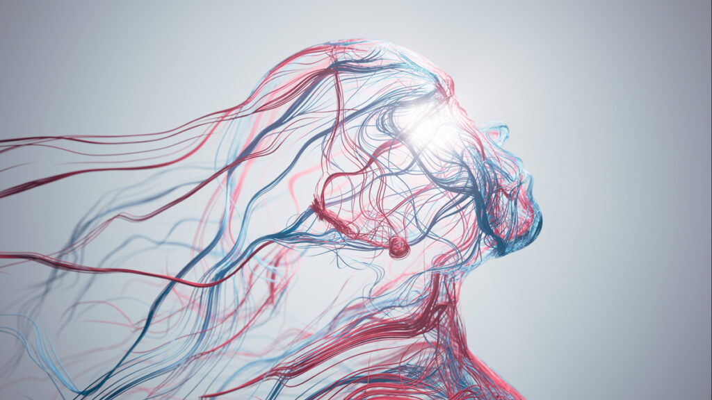 A woman's head adorned with intricate red and blue lines, creating a striking visual pattern.